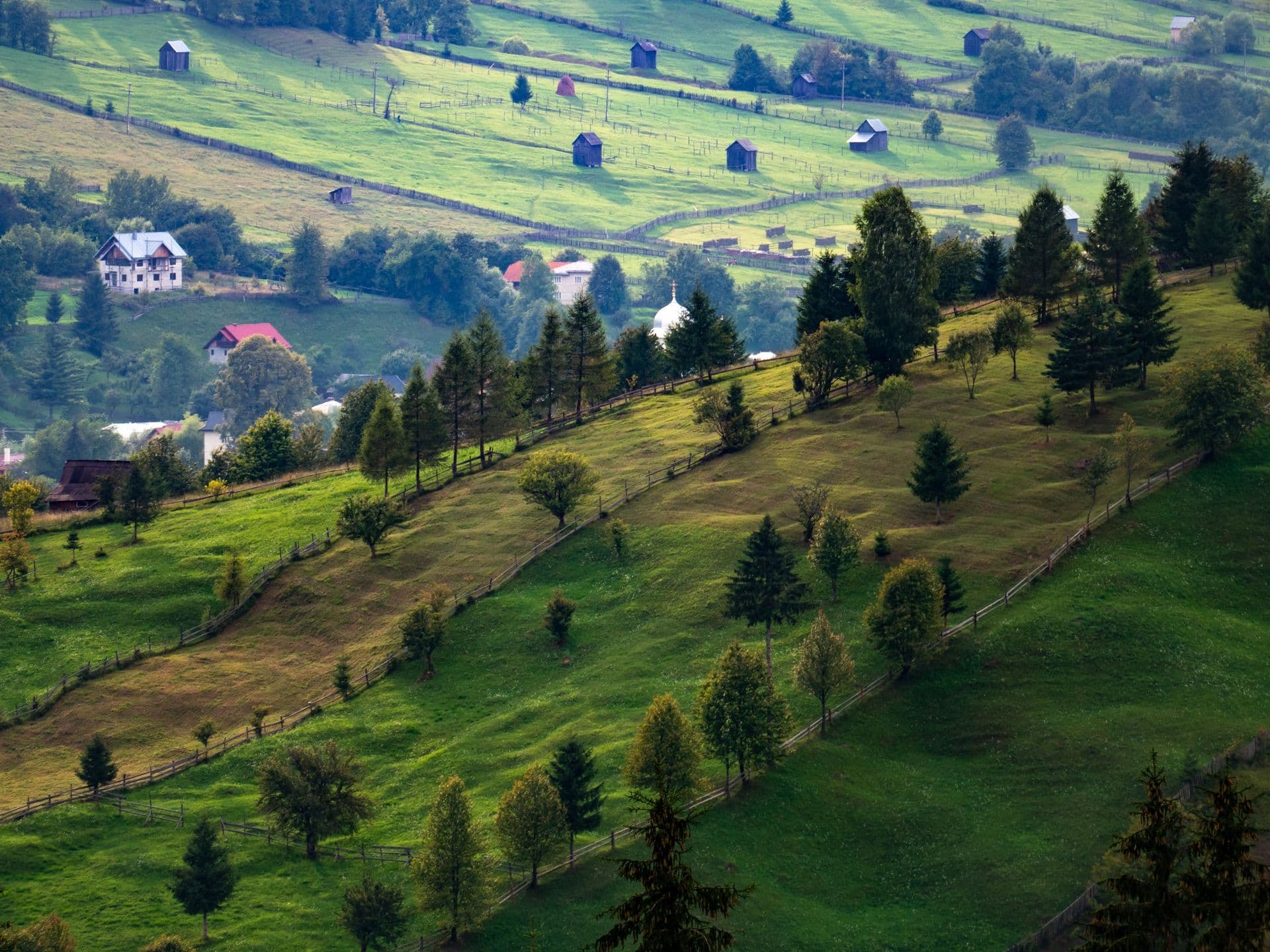 Foto dealuri Transilvania